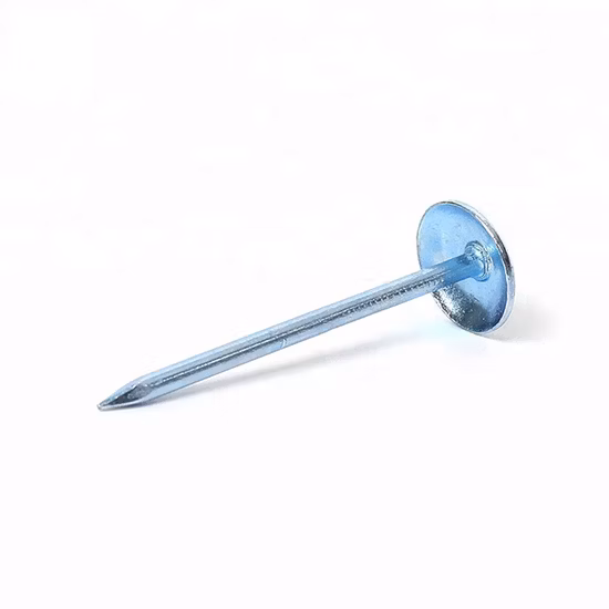 中米 50 ポンド Clavo 亜鉛メッキ屋根釘滑らかな釘